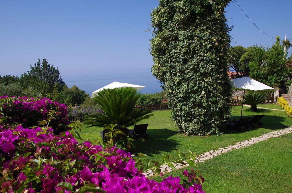 Bed And Breakfast Nefer Maratea Exterior foto